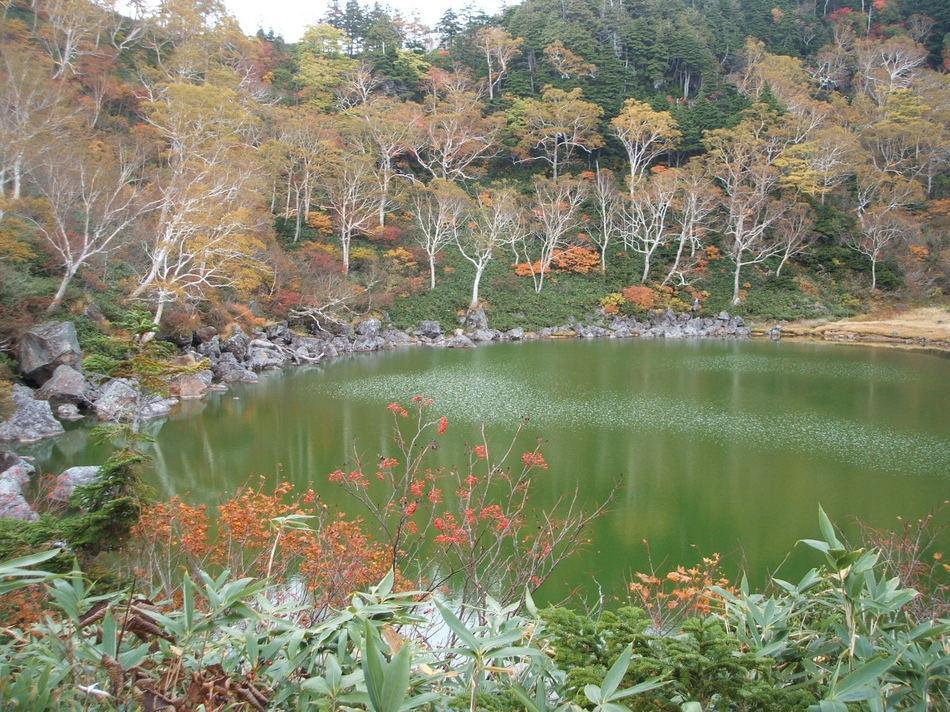 Natural Pension Pumpkin Otari Esterno foto